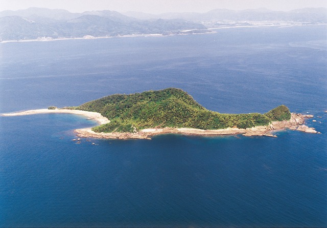 枇榔島亜熱帯性植物群落.jpg 枇榔島亜熱帯性植物群落