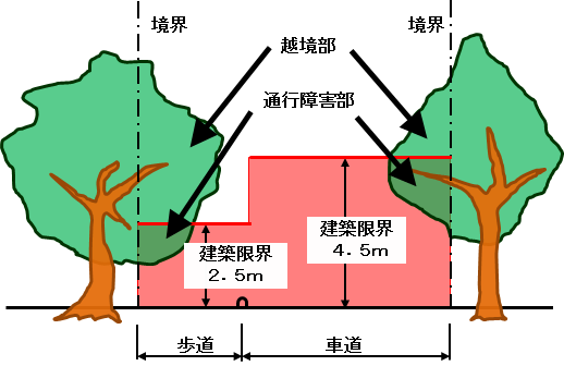 木と道路の境界の目安を表した画像です