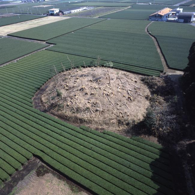 原田古墳