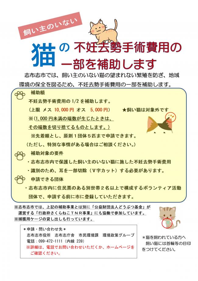 チラシ
